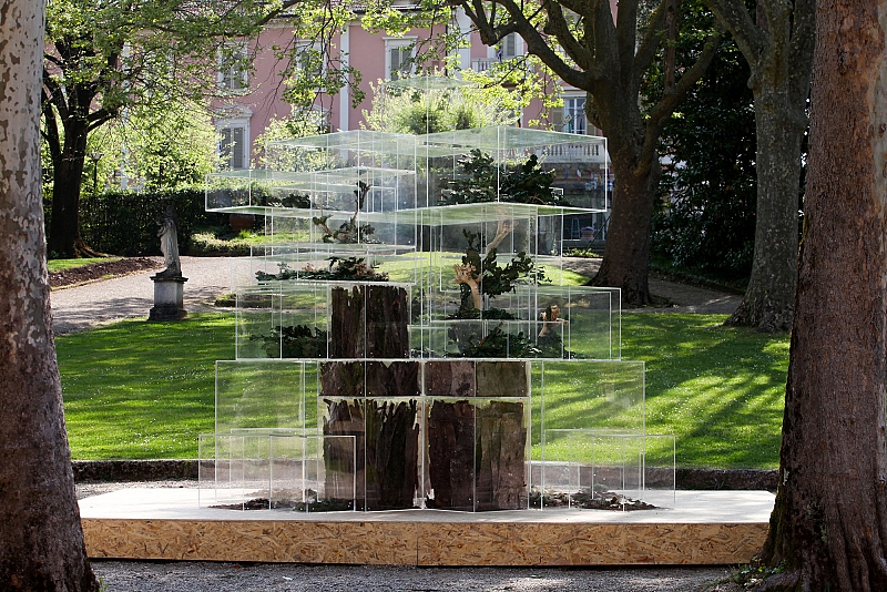 Noleggio Albero di Plexiglass a Milano